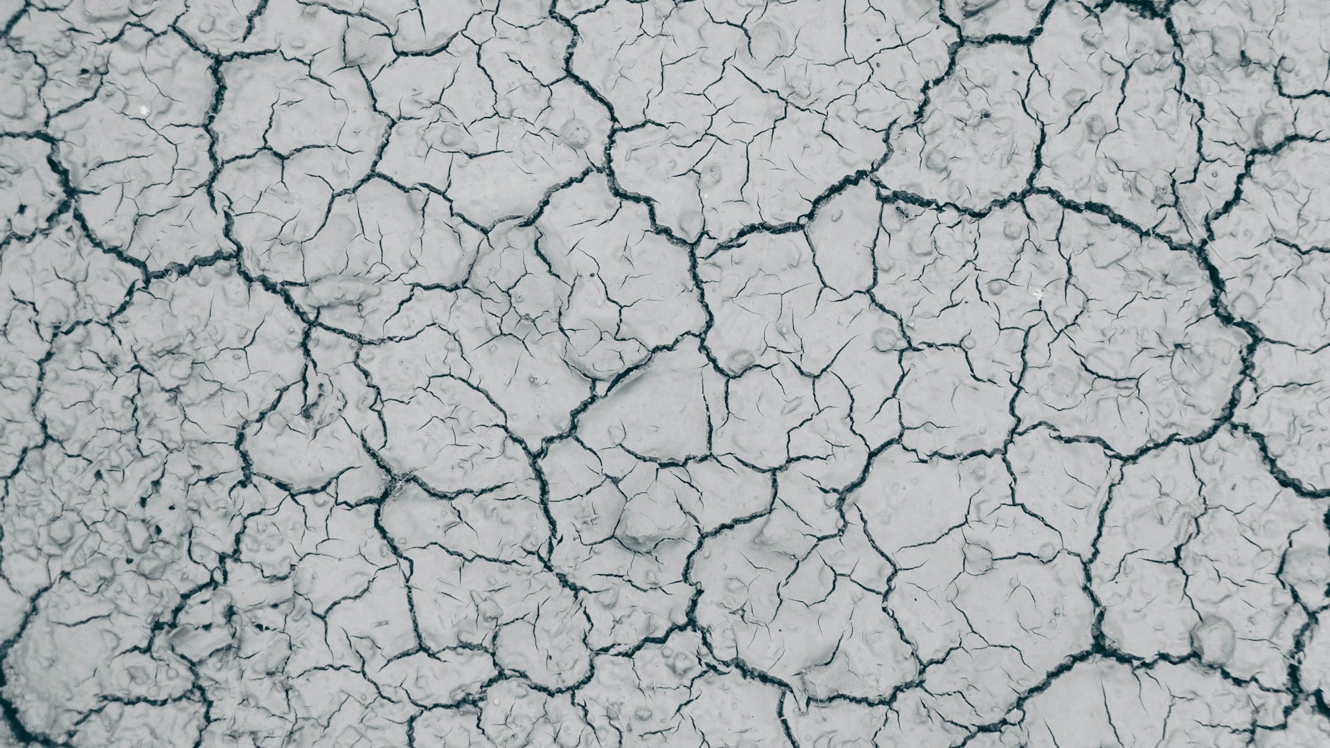 https://sitemaps.horasis.org/wp-content/uploads/2024/01/rishabh-mathew-wB5__7GaZgk-unsplash.jpg
